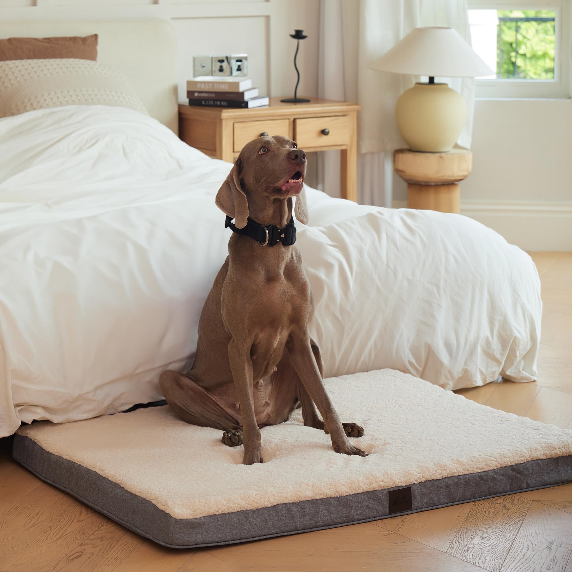 Orthopedic Support Bed — Large